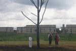 Bonfire: Rite for Almere after community event a charred tree sculpture is left as a memory