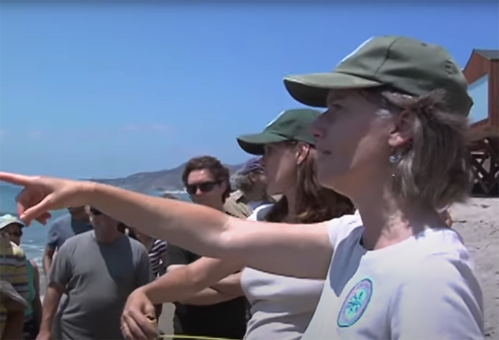 Malibu Public Beaches Video by Los Angeles Urban Rangers